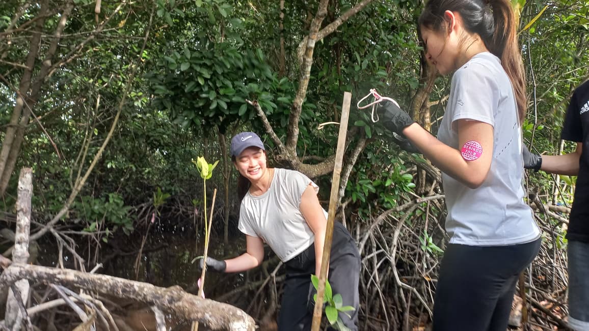 Mangrove Planting in Batam